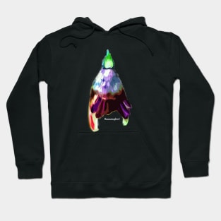 Humming Bird Hoodie